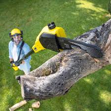 Best Lawn Mowing Services  in San Benito, TX